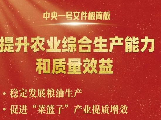 中央一號(hào)文件，極簡(jiǎn)版來(lái)了！